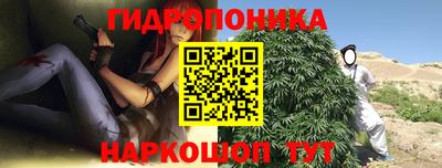 прущие крисы Нальчик