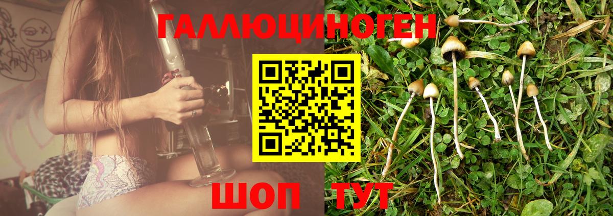 Псилоцибиновые грибы мухоморы Тавда