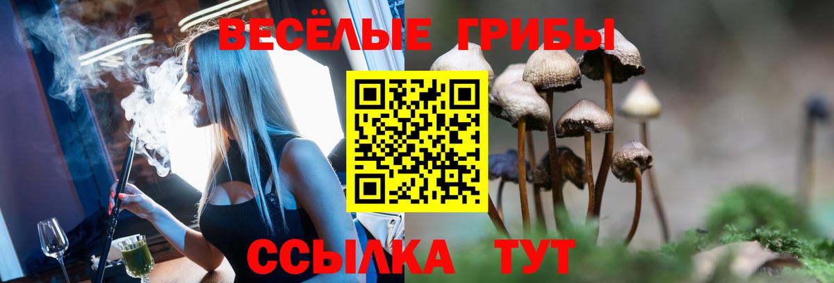 Галлюциногенные грибы Psilocybine cubensis  Галлюциногенные грибы мухоморы  Вход с VPN  Тавда 